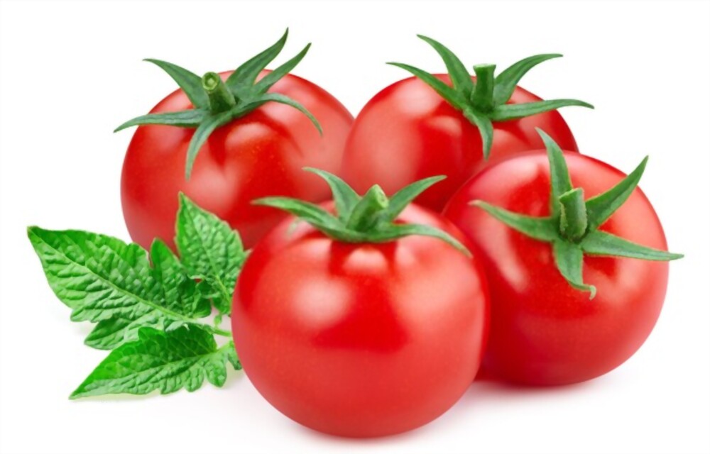 بذر گوجه سوپر استرین B