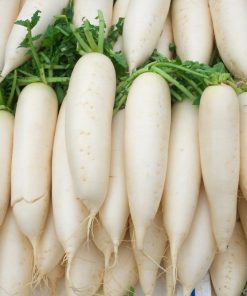 بذر هویج سفید