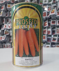 بذر هویج نانتس (Nantes Carrot) پروسید هلند (Holland prossed)